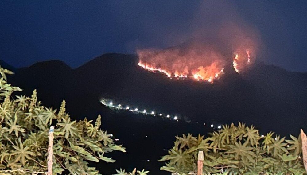 Emergencia por Fenómeno de El Niño: Se han logrado apagar ya 443 incendios forestales, 29 de ellos en las últimas 24 horas