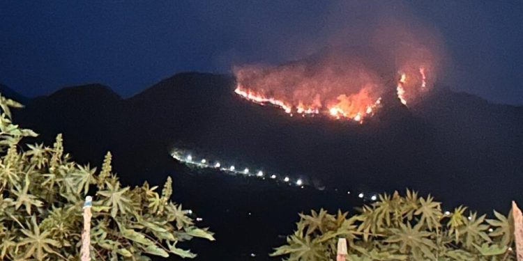 Emergencia por Fenómeno de El Niño: Se han logrado apagar ya 443 incendios forestales, 29 de ellos en las últimas 24 horas