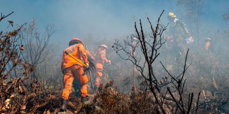 Colombia recibe apoyo de cinco países y la Unión Europea tras emergencia por incendios