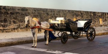 Por fin se acabarán los coches con caballos en Cartagena. Serán reemplazados por vehículos eléctricos