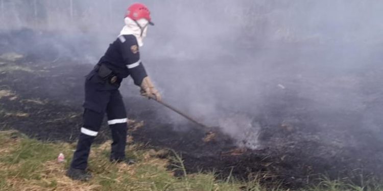 Bomberos de Colombia convocan a ‘sirenazo’ por falta de recursos económicos