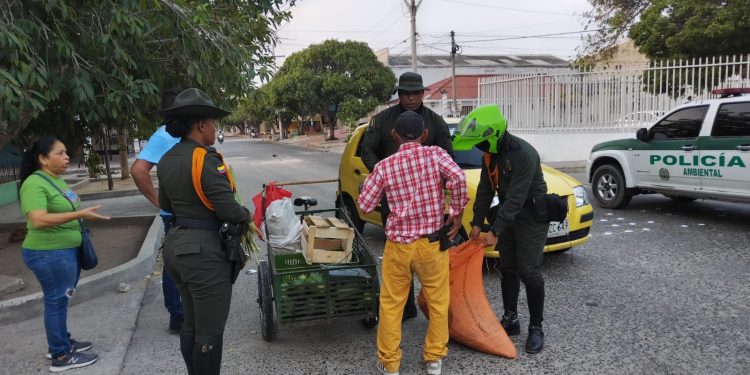 Policía Metropolitana incauta 2200 cogollos de palmiche en Barranquilla