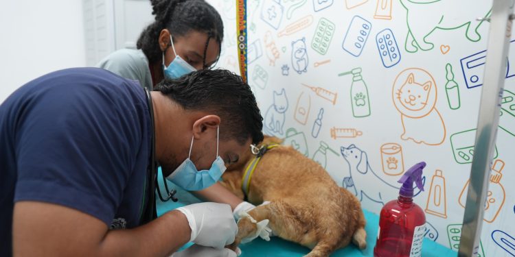 Alcalde anunció articulación con fundaciones y veterinarias, ampliando los servicios del CBA