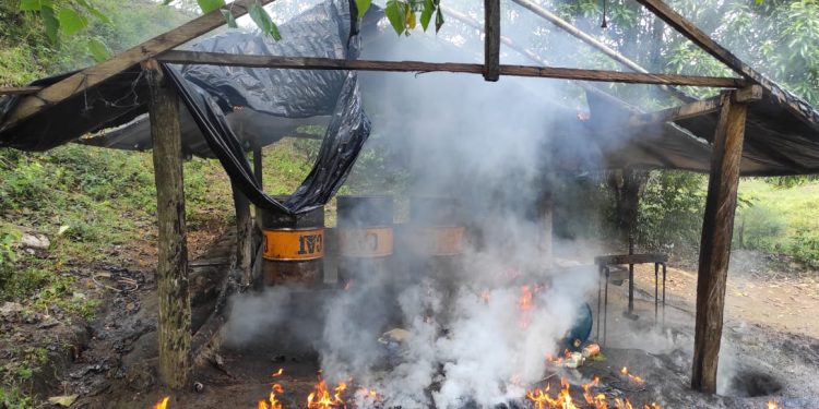 Destruidos dos laboratorios de pasta base de coca en Puerto Libertador, Córdoba, avaluados en más de 800 millones de pesos
