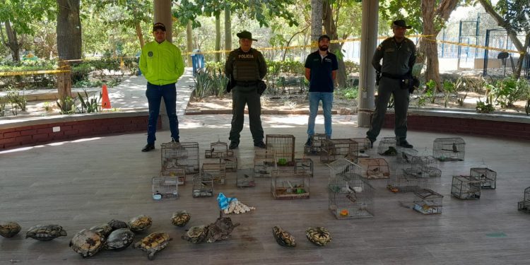 Autoridades incautaron 21 kilos de huevos de iguana previo a Semana Santa