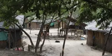 Investigan muerte de cinco menores Yukpas en Codazzi, Cesar: posibles indicios de crimen