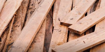 Procuraduría pide a las CAR informe sobre norma ambiental para exportar madera en Colombia