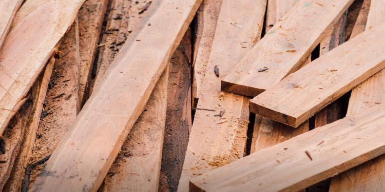 Procuraduría pide a las CAR informe sobre norma ambiental para exportar madera en Colombia