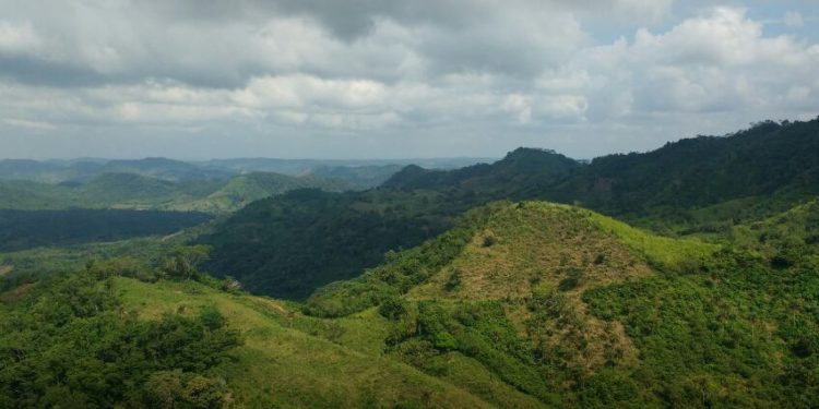 Procuraduría solicitó incluir compromisos de víctimas del conflicto armado y del Acuerdo de Paz en Planes de Desarrollo en Montes de María