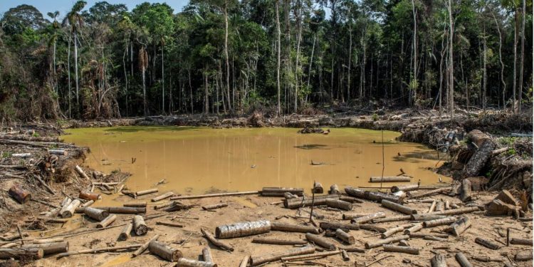 Alerta por deforestación de la Amazonía, un riesgo para la provisión de agua en el país