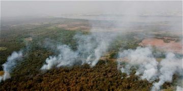 Incendiendo sigue consumiendo área protegida del Vía Parque Isla Salamanca, en Magdalena