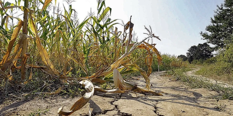 Procuraduría pide informes sobre medidas adoptadas contra fenómeno de ‘El Niño’
