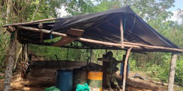 Ejército destruyó de forma controlada tres laboratorios de coca y dos semilleros pertenecientes al Clan del Golfo