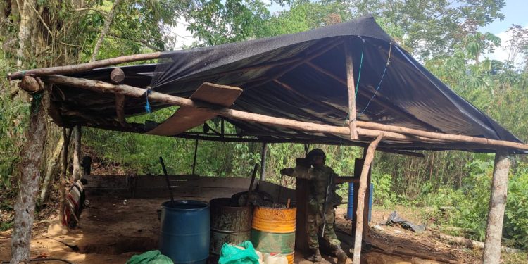 Ejército destruyó de forma controlada tres laboratorios de coca y dos semilleros pertenecientes al Clan del Golfo