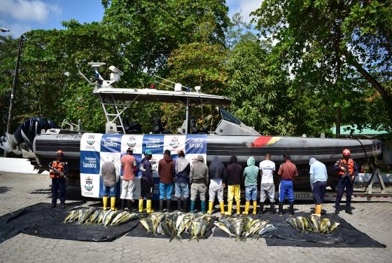 Armada de Colombia incauta más de 700 kilogramos de pesca ilegal