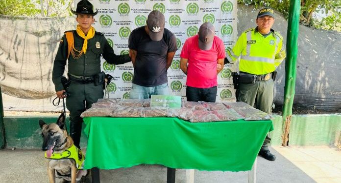 Transportaban 10.7 kilos de marihuana en vehículo de servicio público y fueron capturados en la Cordialidad