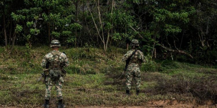 Abatidos 15 miembros de la estructura ‘Carlos Patiño’ por el Ejército de Colombia
