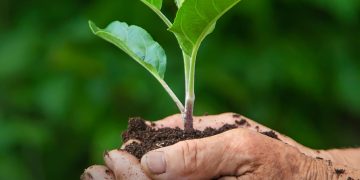 Firma del Acuerdo de Escazú se ajusta a la Constitución: Procuraduría