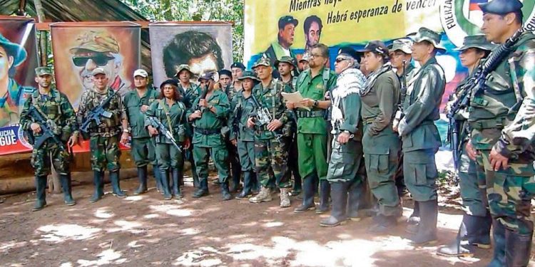 Más de 20 toneladas de cocaína en 2024 ha exportado la segunda Marquetalia Farc
