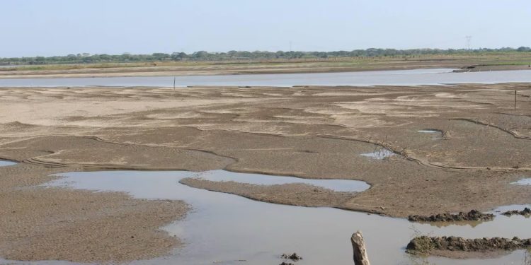 Fenómeno del Niño: CRA entregó balance del río Magdalena en varios puntos del Atlántico