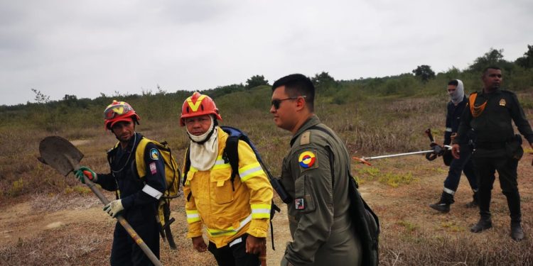 Extinción de incendio forestal en Isla Salamanca es apoyado por la Fuerza Aérea