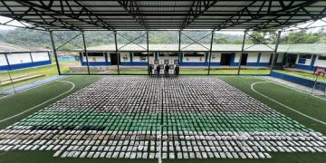 Incautadas 1.4 toneladas de marihuana en el Pacífico chocoano