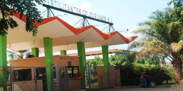 Por posibles irregularidades en pago de acreencias a trabajadores, Procuraduría formuló cargos a exgerente de Ferticol, en Santander