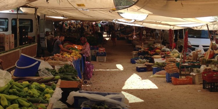 Investigación disciplinaria contra exalcalde de Rovira, Tolima, por retrasos en construcción de plaza de mercado San Isidro Labrador