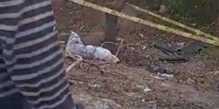 Hallan cadáver dentro de un saco en vía alterna en Santa Marta