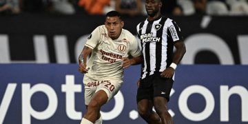 Botafogo enfrentará a Universitario en Perú: Junior espera el triunfo del fogao para clasificar oficialmente