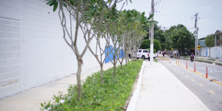 Alcaldía de Barranquilla transforma puntos críticos en nuevos espacios verdes