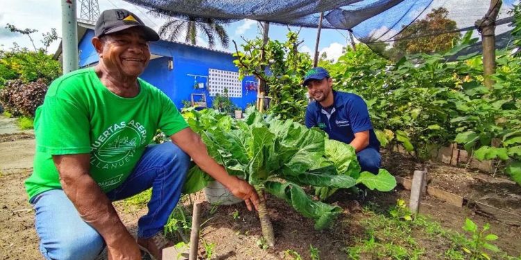 Barranquilla, entre las 5 ciudades del mundo que promueven la agricultura urbana