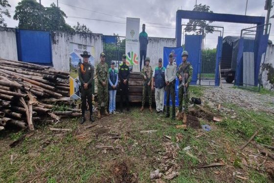Incautados más de ocho metros cúbicos de especies maderables