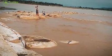 Fedegan se pronuncia sobre la grave situación de La Mojana