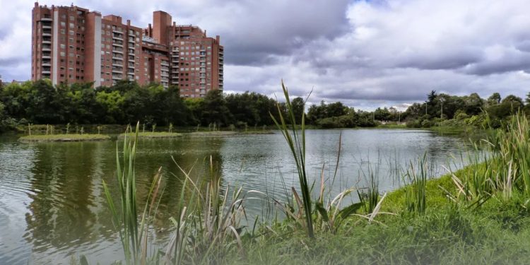 Procuraduría solicita a MinAmbiente que no intervenga los humedales de Bogotá