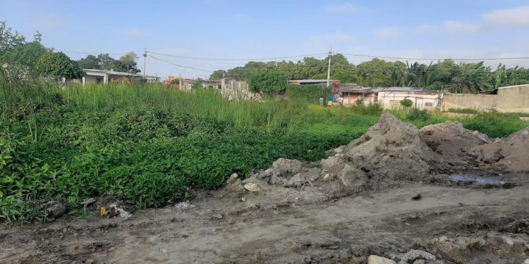 Asesinan a alias ‘Carola’ en La Cangrejera