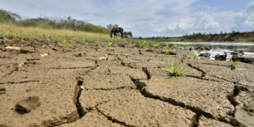 Fenómeno del Niño: Procuraduría urge a la Superservicios fortalecer acciones conjuntas para mitigar los efectos de racionamientos por el desabastecimiento de agua a nivel nacional