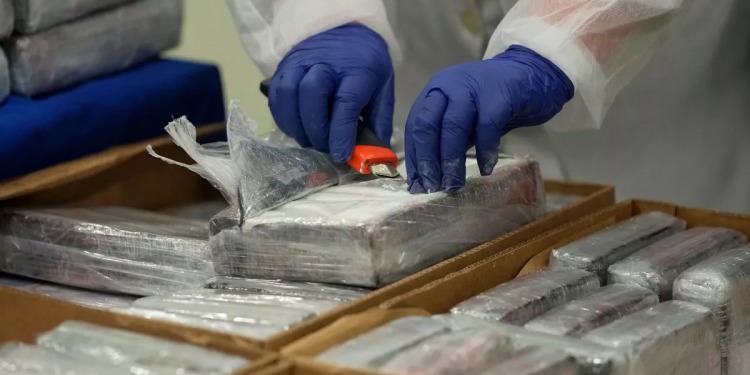 Incautan en España 100 kilos de cocaína enviada de Ecuador por narcos colombianos
