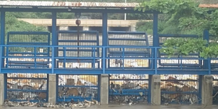 Atención urgente a trampa de Arroyo León clama la comunidad