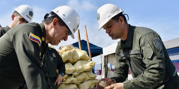 Decomisan carga de 176 kilos de cocaína diluida en cocos que iba de Cartagena a España