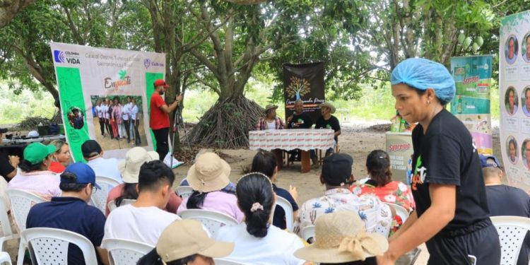 Con ruta gastronómica y pedagógica, inició el Festival ‘Enyúcate’ 2024, en Caracolí, Malambo
