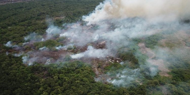Parques Nacionales Caribe busca frenar incendios en Isla Salamanca