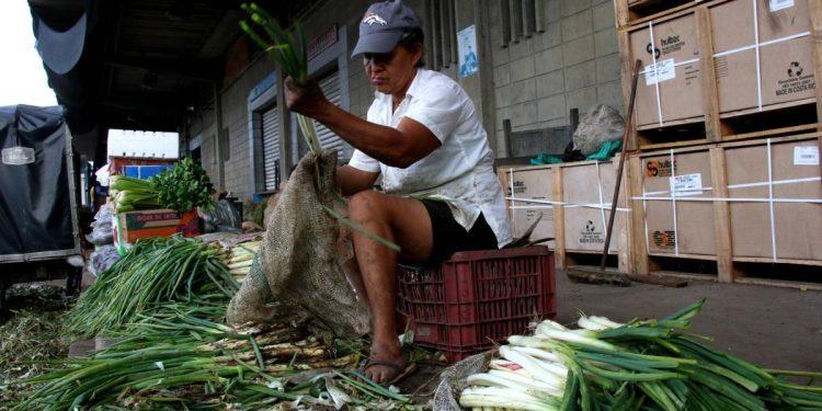 Granabastos reporta más de 50 por ciento de reducción en el ingreso de alimentos por paro camionero
