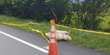 Hombre apareció desmembrado dentro de un saco en Dibulla, La Guajira