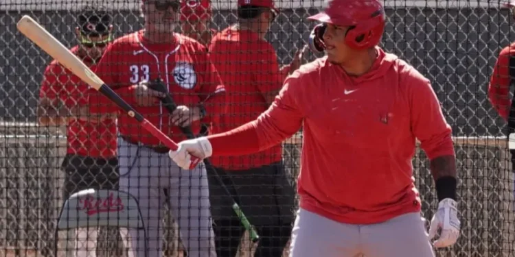 Andruw Salcedo López avanza en su carrera beisbolística en la antesala de la Grandes Ligas