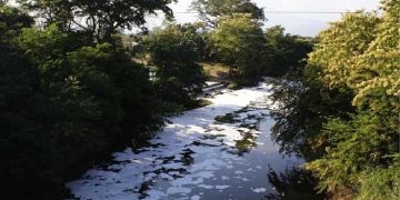 Procuraduría interpuso acción popular para la protección del río Cesar, por el vertimiento de aguas residuales de las lagunas “el salguero” y “el tarullal”