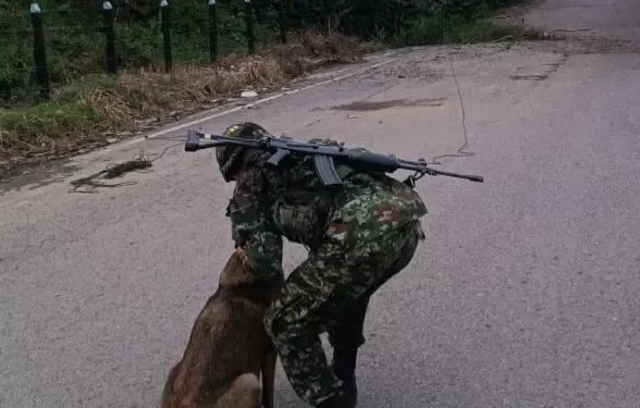 Ejército Nacional neutralizó acción terrorista del GAO ELN en la vía Cúcuta – Tibú