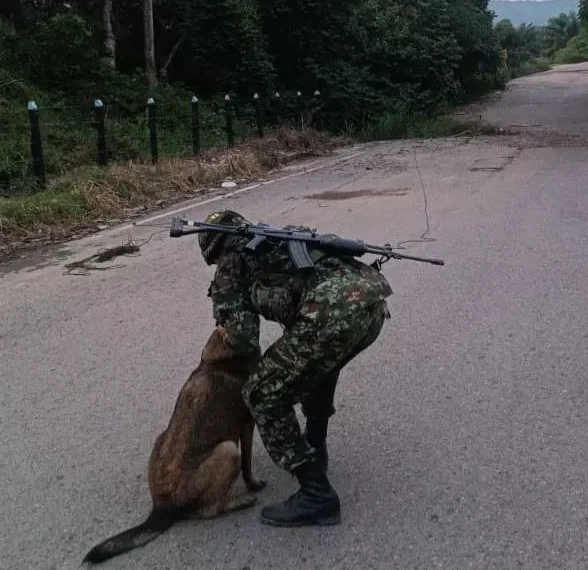 Ejército Nacional neutralizó acción terrorista del GAO ELN en la vía Cúcuta – Tibú