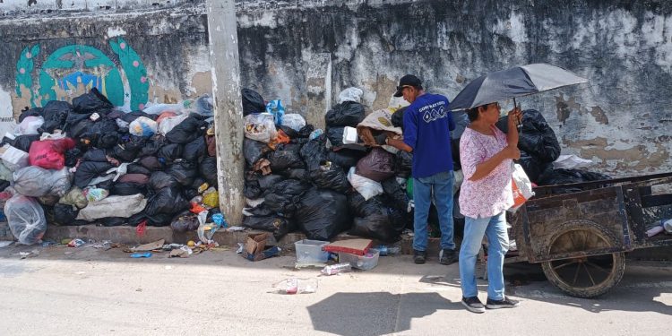 Vecinos de Los Ángeles 2, denuncian falta de recolección de basuras y ven en riesgo la salud comunitaria