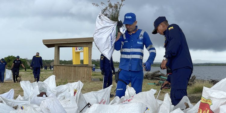 Distrito recolecta 11 toneladas de residuos y madera en Puerto Mocho